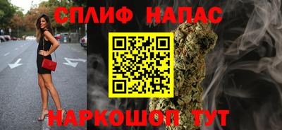 МДПВ Волгодонск