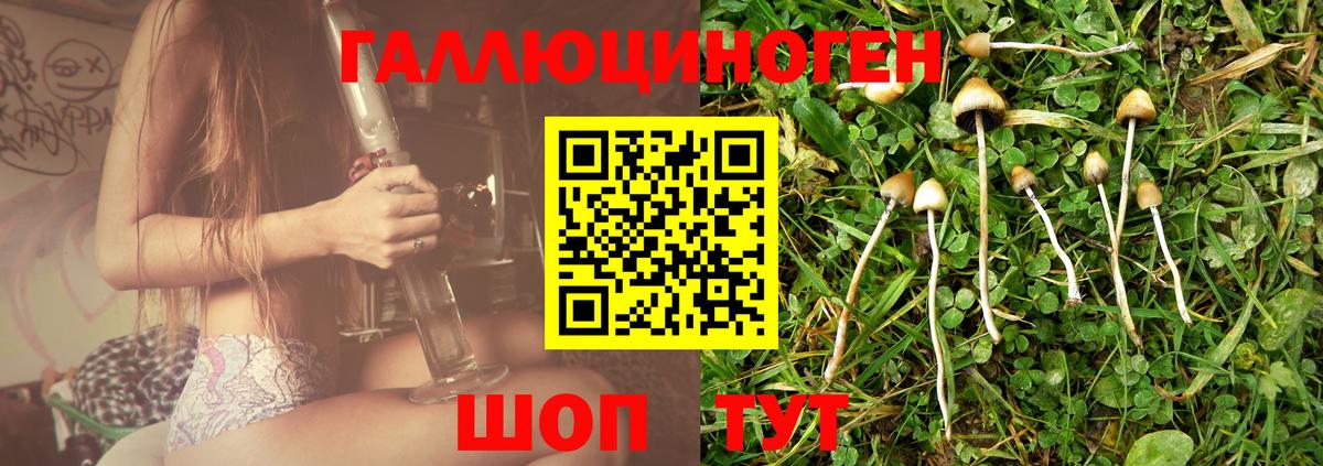 Галлюциногенные грибы Psilocybe  Вход с VPN  Дзержинск 